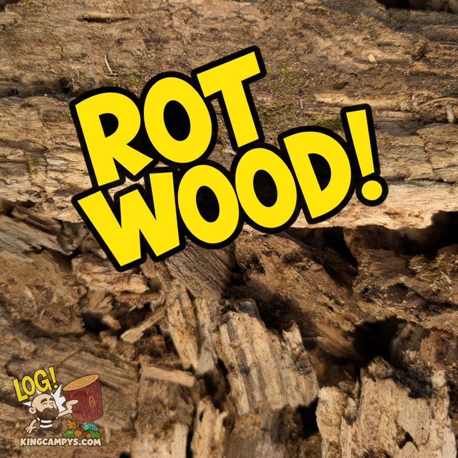 Rot wood