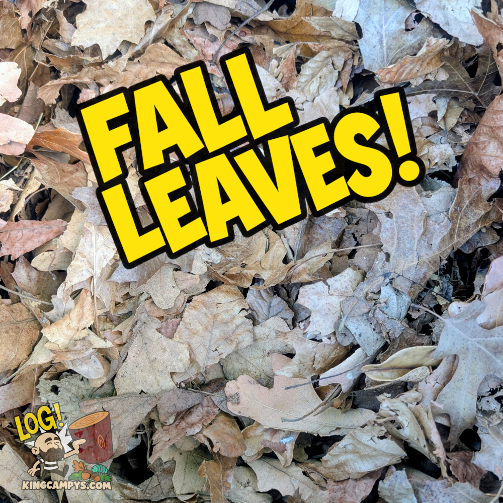 Mixed Hardwood Fall Leaves