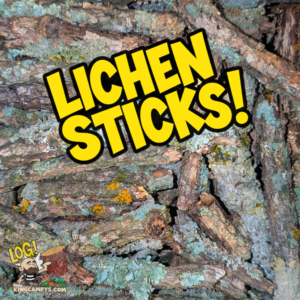 Lichen Sticks & Wood