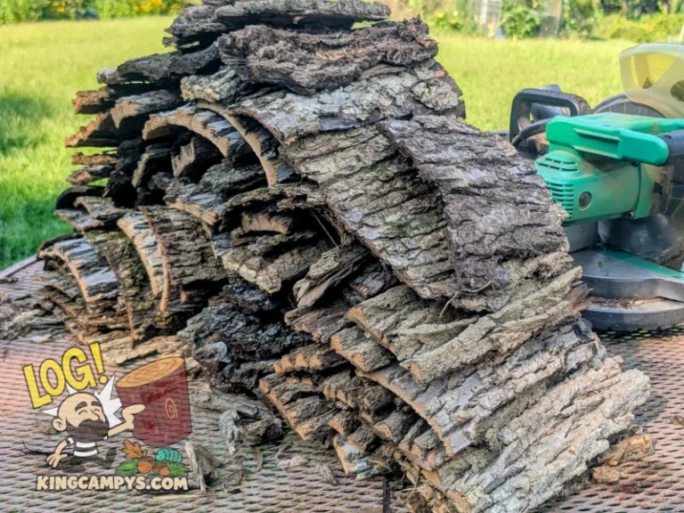 1 Gallon Bag of Premium Mixed Rot Wood