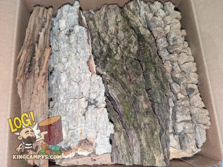 Packing mixed-type hardwood bark slabs into a box for a customer's bulk unbagged order.