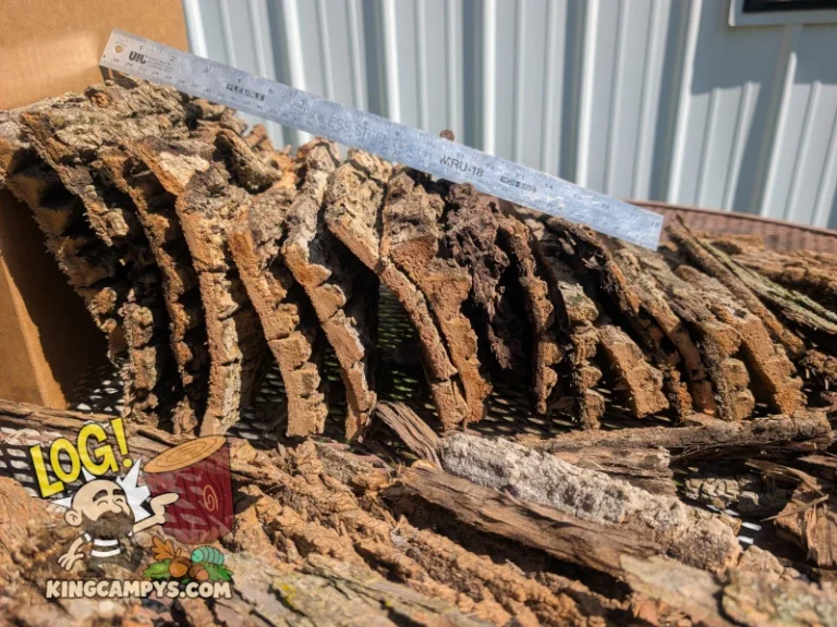 An 18 inch ruler sitting on a pile of large bark slabs with misc sized bits and pieces in the foreground that will all be packed into a 12"x12"x12" (7.5 gallon) box to fulfill a 14 pound bulk unbagged order.