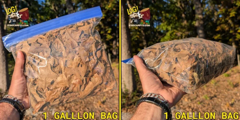 1 Gallon Bag of Mixed Hardwood Fall Leaves