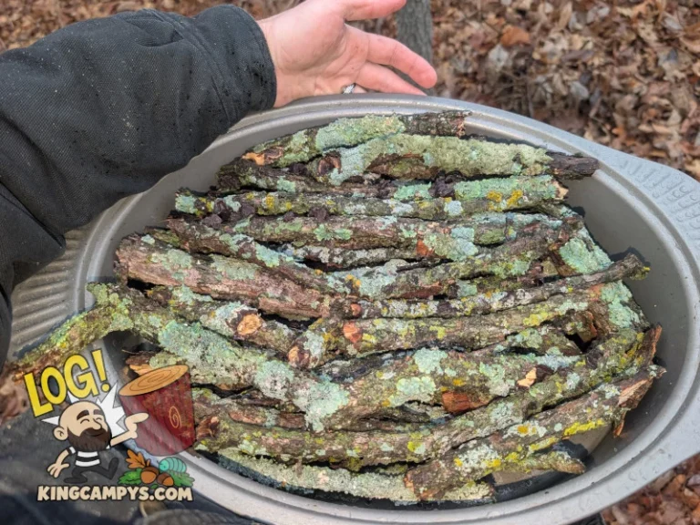 Freshly collected lichen sticks in the rain. These pieces have not yet been heat treated.