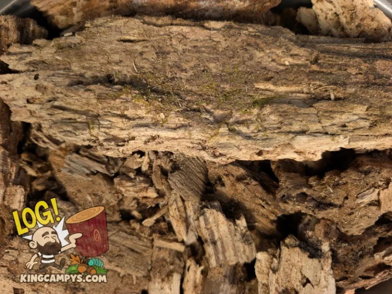 Premium mixed rot wood — gallery photo 1